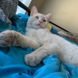 Meet your Posher, David